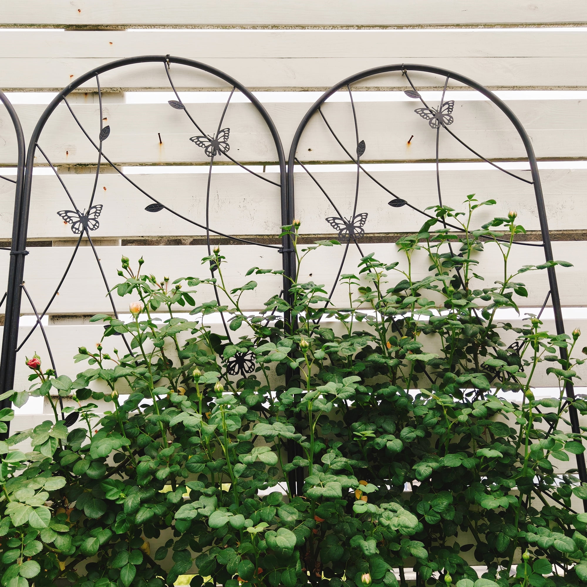 2 Pack Metal Garden Trellis 86.7" x 19.7" Rustproof Trellis for Climbing Plants Outdoor Flower Support Butterfly Deco Black