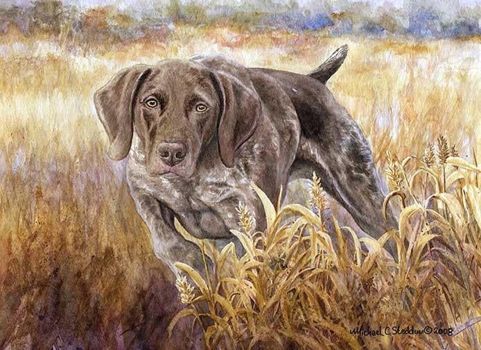 german shorthaired pointer artwork