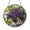 Acrylic 3.5 Inch, variant on Purple Grapes Stained Glass Window Suncatcher Sun Catcher Rustic Kitchen or Dining Room Decor Gift for Wine Fans