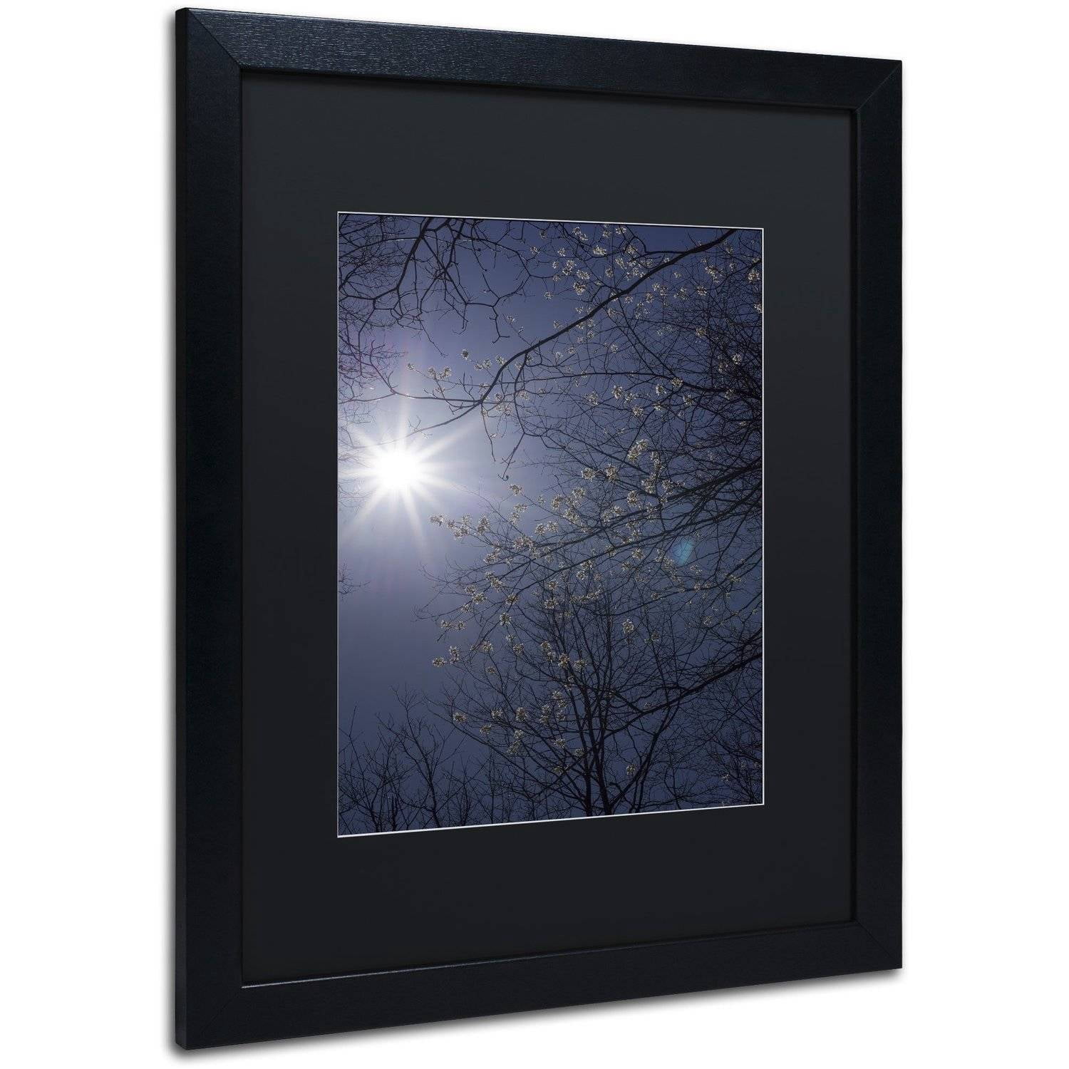Trademark Fine Art "Springtime Sunshine" Canvas Art by Kurt Shaffer, Black Matte, Black Frame