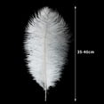 thumbnail image 3 of Plumas grandes de avestruz blancas Ballinger, 35 — 40 cm, 12 unidades, 3 of 8