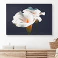 thumbnail image 2 of PixonSign Canvas Print Wall Art Calla Lily Duo Close-Up Botanical Plants Photography Modern Art Contemporary Portrait Colorful Multicolor Ultra for Living Room, Bedroom, Office - 24x36, 2 of 5