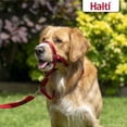 thumbnail image 5 of Halti Nylon Padded No Pull Dog Headcollar, Red, Size 3, 5 of 5