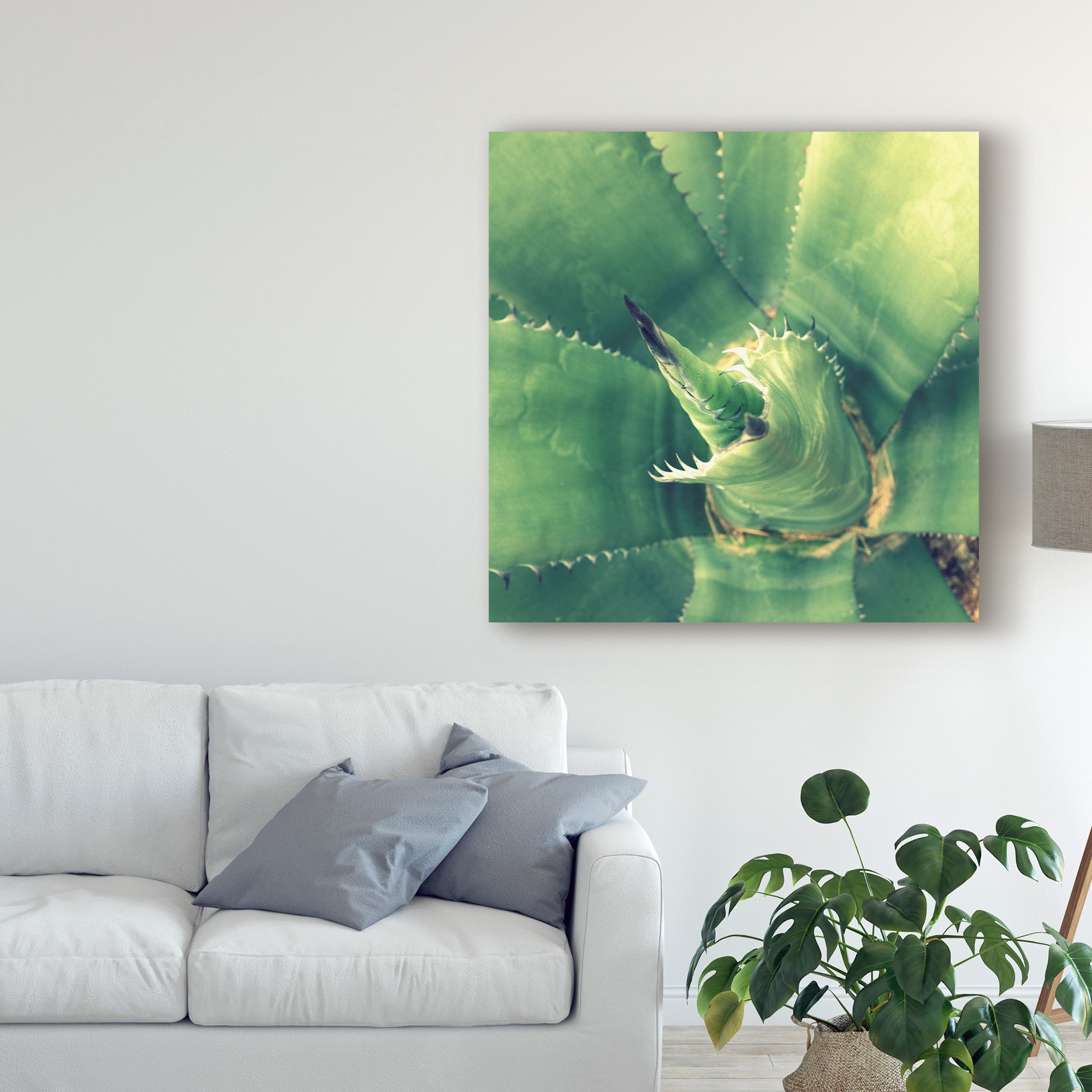 Trademark Fine Art 'Succulent II' Canvas Art by Lillian Bell