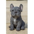 thumbnail image 1 of Figura Hi-Line Gift con forma de cachorro de bulldog francés, color azul, gris, 1 of 8