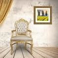 thumbnail image 3 of Audit, Lisa 26x26 Gold Ornate Wood Framed with Double Matting Museum Art Print Titled - Skagit Valley Daffodils II, 3 of 4
