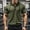 Army Green, variant on Men's Gray Striped Hooded Short Sleeve Top - 2XL Size, Polyester Spandex, Slim Fit, Breathable, Henley Neck, Adjustable Drawstring - Casual Gym Daily Wear