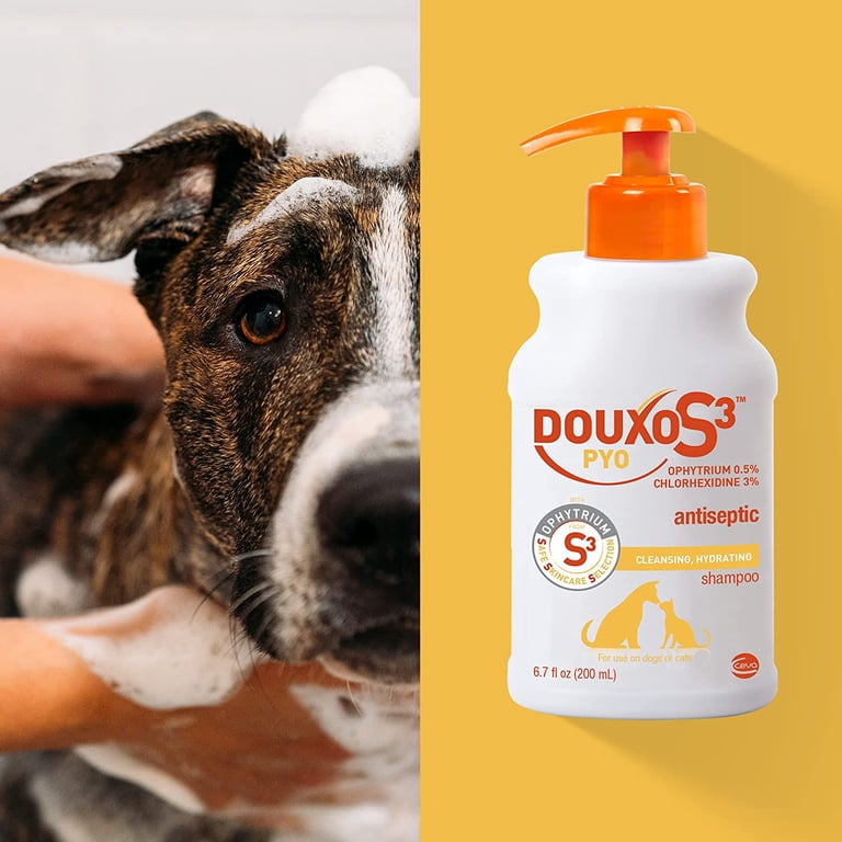 Douxo S3 PYO Antiseptic Antifungal Chlorhexidine Shampoo, 6.7 fl