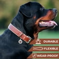 thumbnail image 4 of WAUDOG Heavenly Soft Leather Dog Collar | Heavy Duty, Luxury Design & Super Soft for Ultimate Comfort, Modern Designer Look for Small, Medium, Large Pets- Handmade with Real Genuine Leather - Black, 4 of 11
