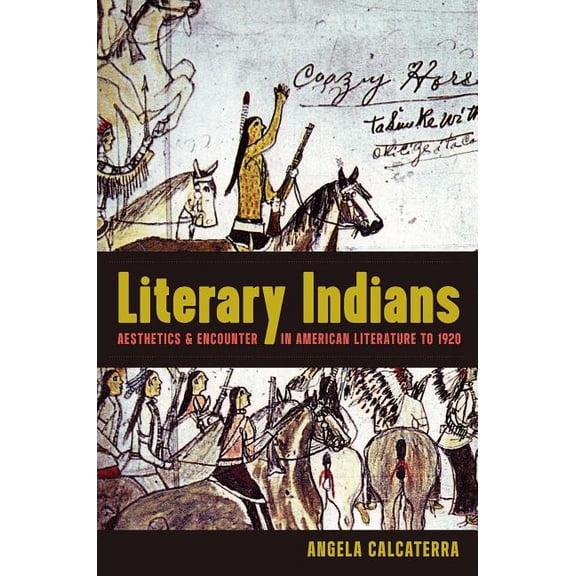 Literary Indians: Aesthetics and Encounter in American Literature to 1920, (Hardcover)