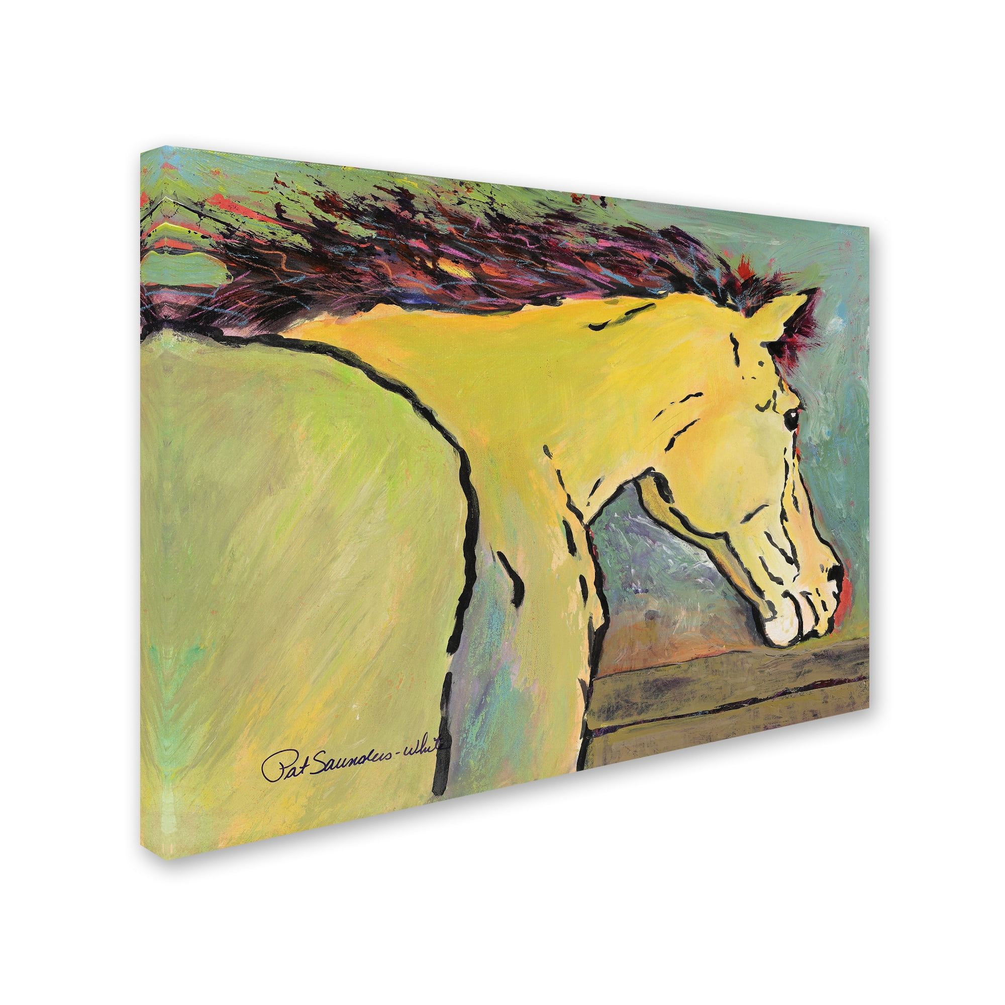 Trademark Fine Art "Waiting for Sunrise" Canvas Art by Pat Saunders-White