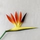 thumbnail image 3 of Pajarito de flores artificiales, ramo de flores artificiales de ave del paraíso de tacto real, flores falsas para decoración del hogar, jardín, boda, fiesta, 3 of 8