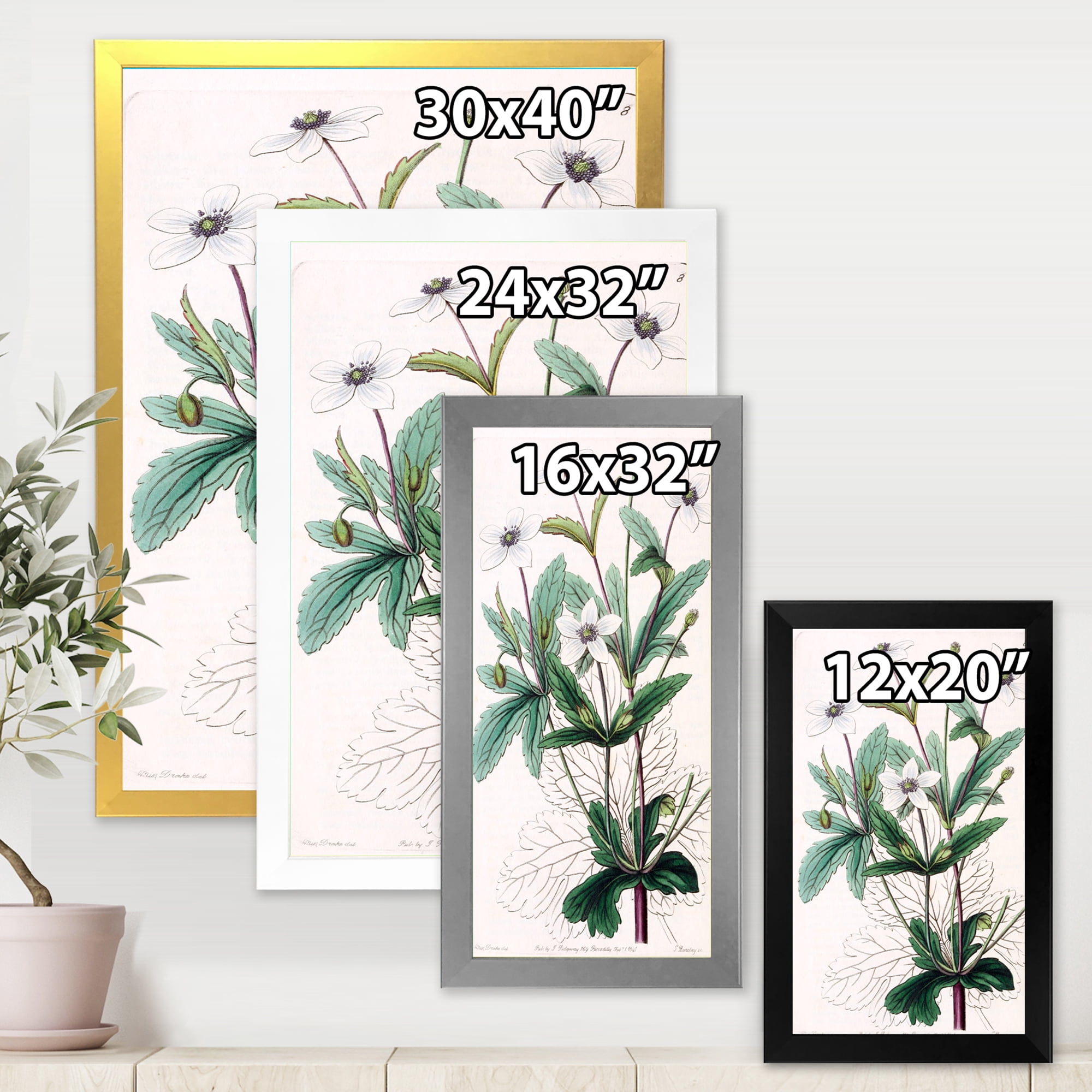 Designart 'Ancient Plant Life XXI' Traditional Framed Art Print