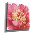 thumbnail image 2 of Epic Graffiti 'Pink Garden V' by Lisa Audit, Canvas Wall Art, 12"x12", 2 of 8