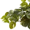 thumbnail image 2 of Pothos w/Rectangle Decorative Planter, 2 of 3