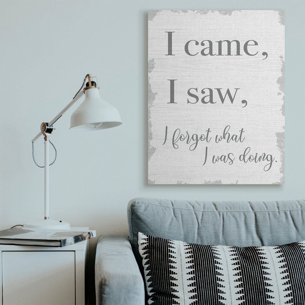 Stupell Industries I Came, I Saw, I Forgot Quote with Distressed Charm Designed by Daphne Polselli