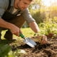 thumbnail image 4 of Herramienta de jardín – Paleta de jardinería de acero inoxidable | Mango ergonómico de plástico, resistente al óxido, agujero colgante | Verde | 10,43x3,35 in | Plantación al aire libre, deshierbe, 4 of 6