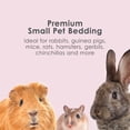 thumbnail image 6 of (4 pack) Kaytee Clean & Cozy Colors Bedding Plum 49.2 Liters, 6 of 12