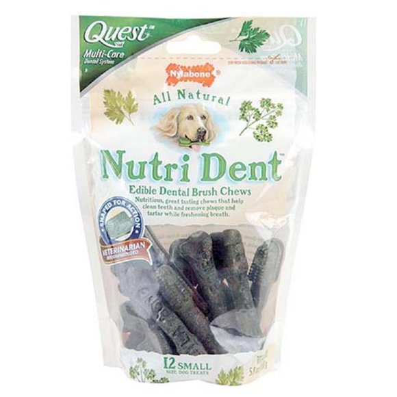 Nylabone - Tfh Small Quest Nutri Dent EdibleDental Brush Chews NTD100M
