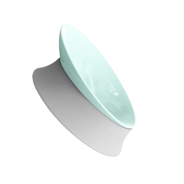 Youkk Bol Alimentaire Réglable Angle Chat pour une Alimentation Saine Durable et Robuste Chat et Chien Bol de Riz Bol pour Animaux de Compagnie Vert Clair