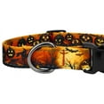 thumbnail image 4 of Country Brook Petz® Gunmetal Deluxe Midnight Fright Reflective Dog Collar, Small, 4 of 5