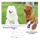 thumbnail image 3 of Correa Larga De Perros Cuerda Seguridad Para Entrenamiento, 3 of 7