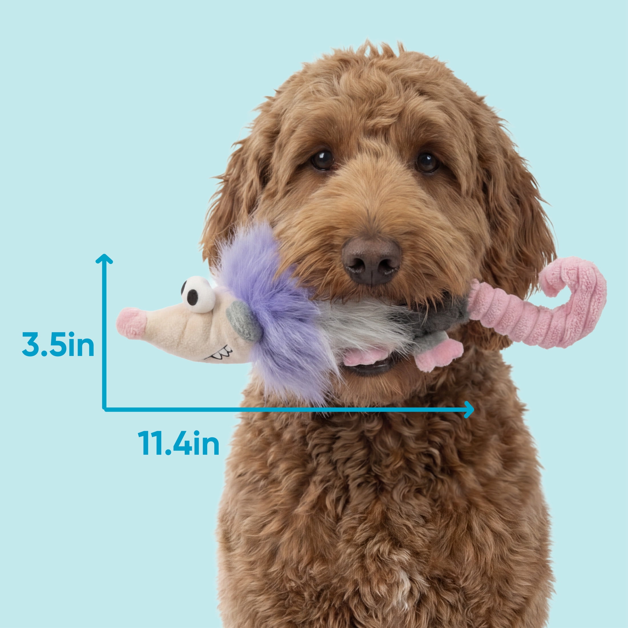 goDog Urban Wildlife Pippa Possum, Squeaky Dog Toy, Plush with Chew Guard Technology, Medium