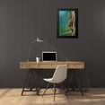 thumbnail image 4 of Fitzharris, Tim 17x24 Black Modern Framed Museum Art Print Titled - Red Squirrel on trunk, 4 of 5