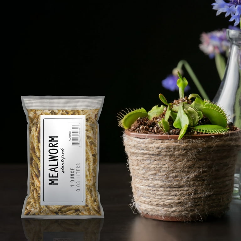 Soil Sunrise Dried Mealworm, Carnivorous Plant Food (1oz) for