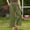 !Army Green, variant on BODOAO Womens Casual Cotton Linen Pants Lightweight Summer Relax Fit Elastic Waist Plus Size Solid Lounge Long Trousers Solid Color Loose Pockets Elastic Belt Waist Pants Long Trousers Army Green L