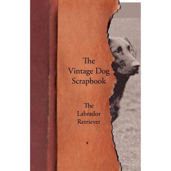 The Vintage Dog Scrapbook - The Labrador Retriever (Paperback)
