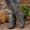 Gray, variant on Boots for Women,Womens Shoes,Winter Zip up Mid-Calf Gray Fall Heel,Gray,6.5
