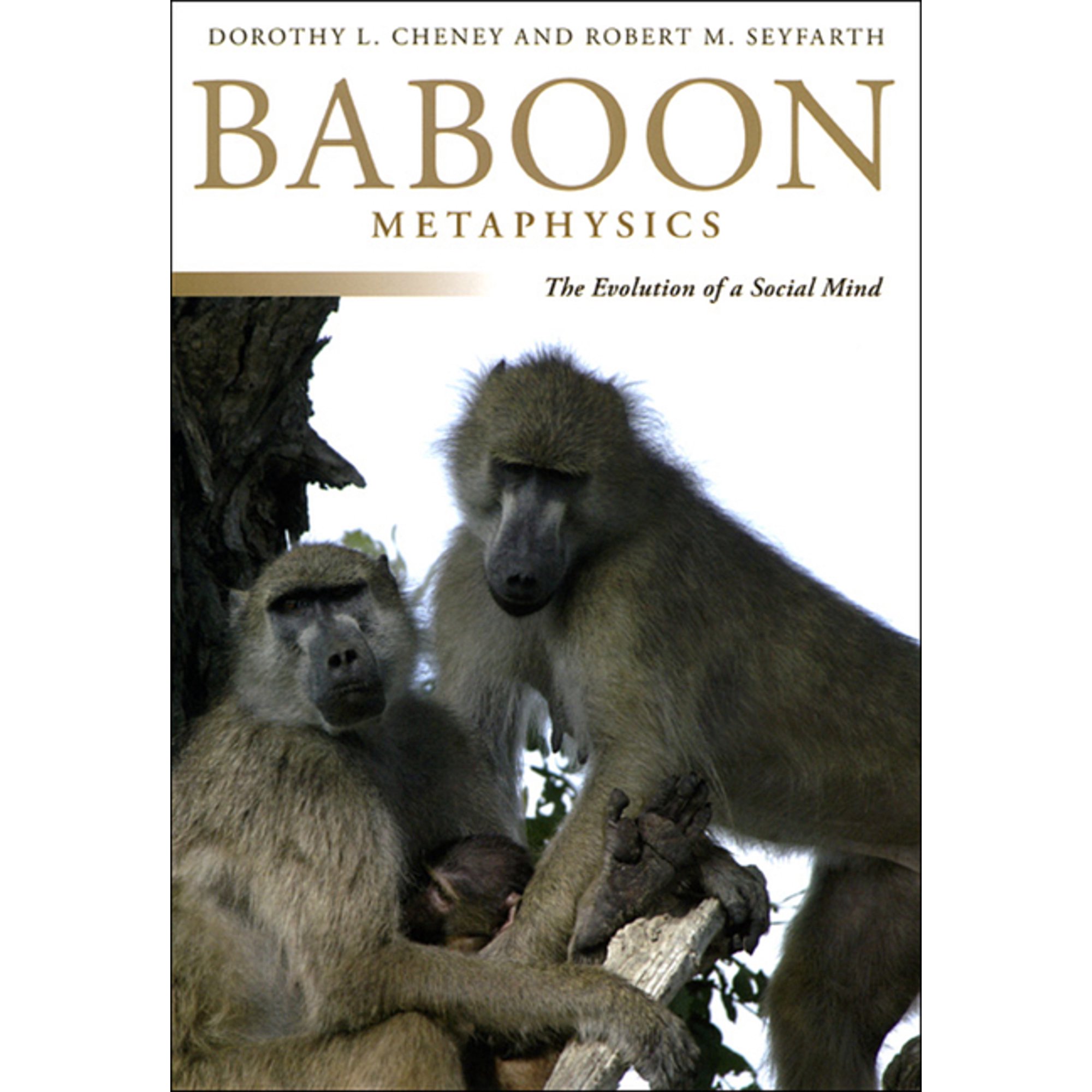 Baboon Metaphysics: The Evolution of a Social Mind (Paperback)