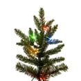 thumbnail image 4 of Vickerman 10' x 74" Natural Fraser Fir Artificial Christmas Tree, 3mm LED Color Changing Lights, 4 of 6