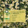 thumbnail image 3 of Shampoo Herbal Essences Brillo Manzanilla & Pasiflora 400 ml, 3 of 5