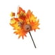 thumbnail image 2 of Decoración de Rama de Calabaza para Halloween | Piña de Hoja de Arce Naranja con Acentos de Frutos Rojos | Corona de Otoño de Plástico de 25 Cm para El Festival de La Cosecha, Ideal para Decorar El H, 2 of 6
