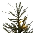 thumbnail image 2 of Vickerman 4' Vienna Twig Artificial Christmas Tree, Warm White Dura-lit LED Lights, 2 of 3