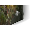 thumbnail image 2 of Epic Art 'Lungs' by Mario Sanchez Nevado, Acrylic Glass Wall Art, 48"x24", 2 of 3