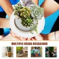 thumbnail image 3 of unbranded 6Ud Redondos Para Plantas Con Material Antidesgaste Para Hogar, 3 of 8