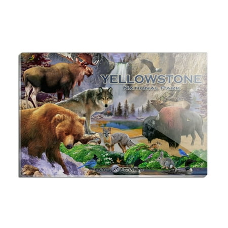 

Yellowstone National Park Wyoming Montana Idaho Animals Wolf Bear Fox Bison Rectangle Acrylic Fridge Refrigerator Magnet