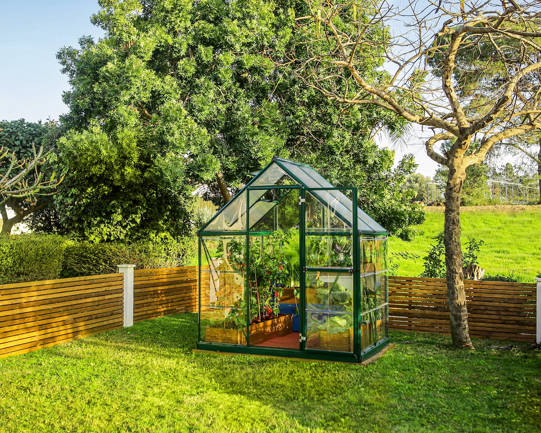 Palram - Canopia Hybrid 6' x 4' Polycarbonate/Aluminum Walk-In Greenhouse – Green - with Roof Vent