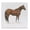 American Flag Horse_v1, variant on Stupell Industries Farmhouse American Flag Horse Black Floating Frame Canvas Art, 18 x 18, by Wellington Studio