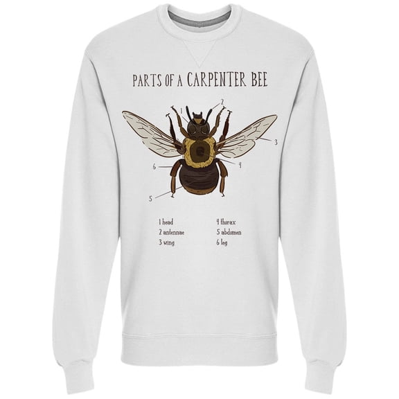 Part Of Carpenter Bee Sweatshirt Men -Image by Shutterstock, Male x-Large