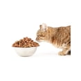 thumbnail image 2 of Güesos Gatos 10 kg + MIAUKISS LICKABLE ATUN 4 PACK 56GR, 2 of 3