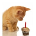 thumbnail image 2 of Kitten Celebrating Birthday Kitten Wall Mural by Wallmonkeys Peel and Stick Graphic (18 in H x 17 in W) WM32882, 2 of 4