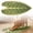 Style B, variant on Premium Natural Sisal Botanical Leaf Cat Scratcher Mat, Extra Large Leaf-Shaped for Wall & Floor, Indoor Jungle Decor, Furniture Protector, Durable Cat Scratcher with Stylish Leaf Design(Begonia)