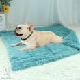 thumbnail image 3 of Gustave Long Plush Pet Blankets Dog Cat Sleeping Mat, Puppy Winter Warm Soft Thin Covers for Small Medium Large Dogs Mattress "Mint Green, L Size", 3 of 10