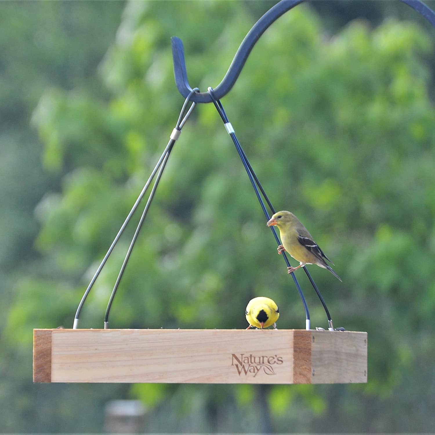 Nature's Way Bird Products CWF3 Cedar Platform Tray Bird Feeder