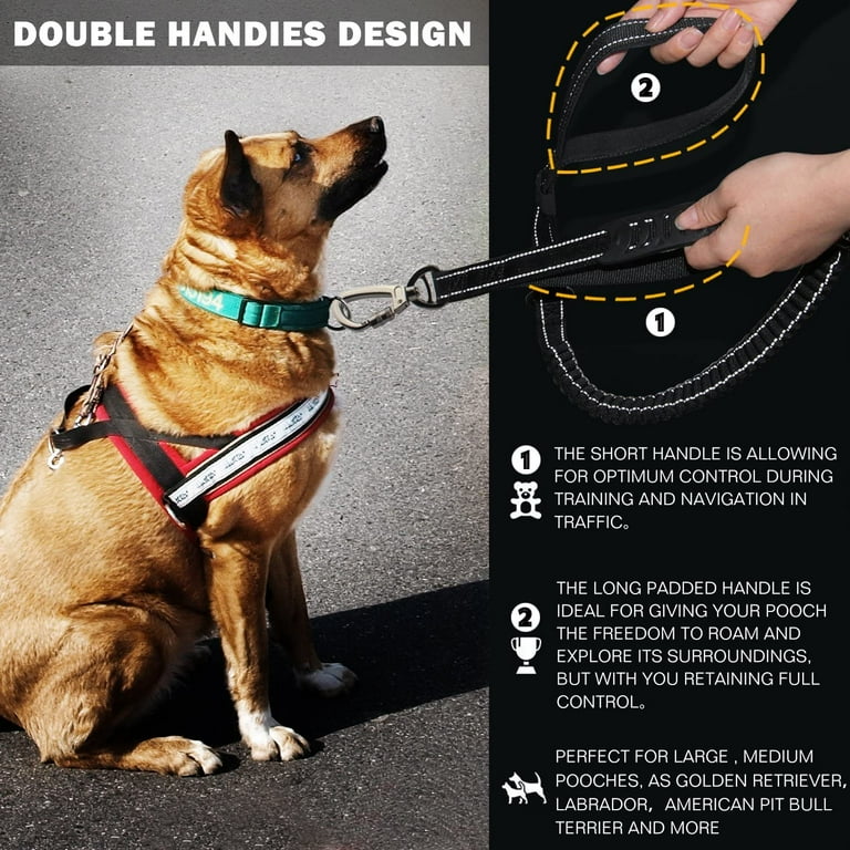 Extra heavy best sale duty dog leash