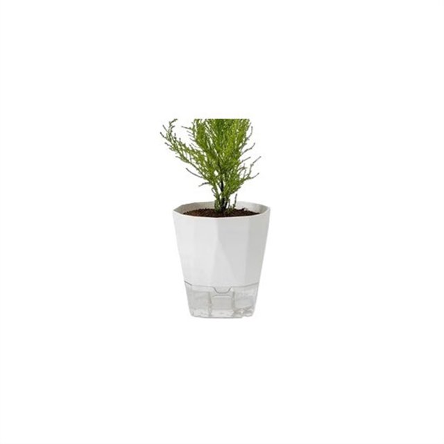 Macetas sin riego Macetas autoabsorbentes Macetas suculentas de orquídeas de balcón de plástico